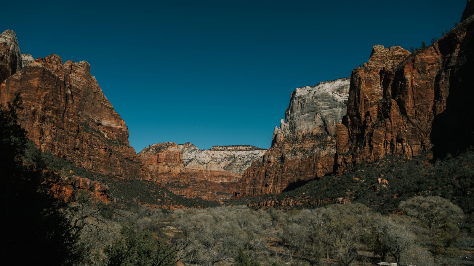 Red sandstone cliffs and canyon floor in Zion National Park